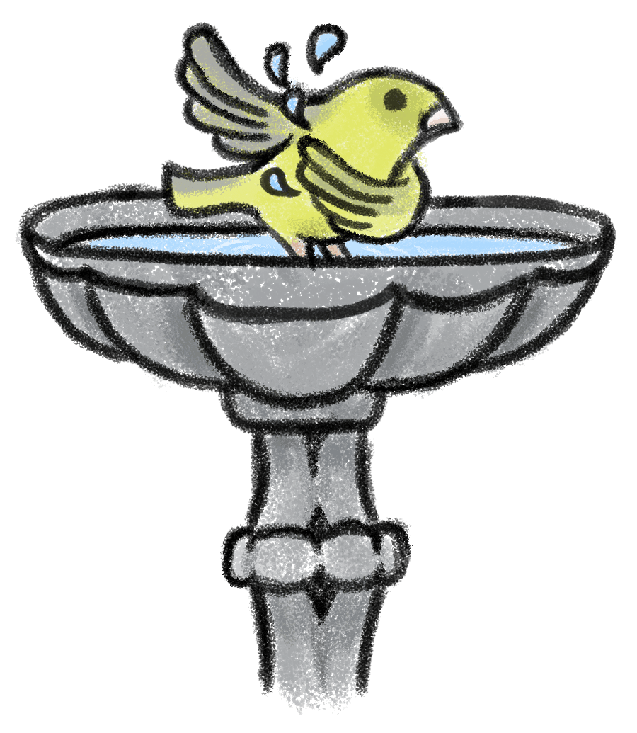 Fågel som badar i ett badkar